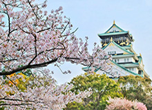 安博体育登录入口-鲁能两战黄海暴露最大短板 鲁媒：快找下一个佩莱